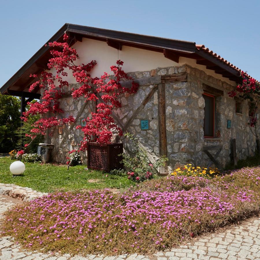 Flow Datca Surf & Beach Hotel Datça Exterior foto